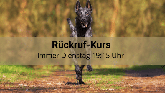 Rückruf Hund Kulmbach