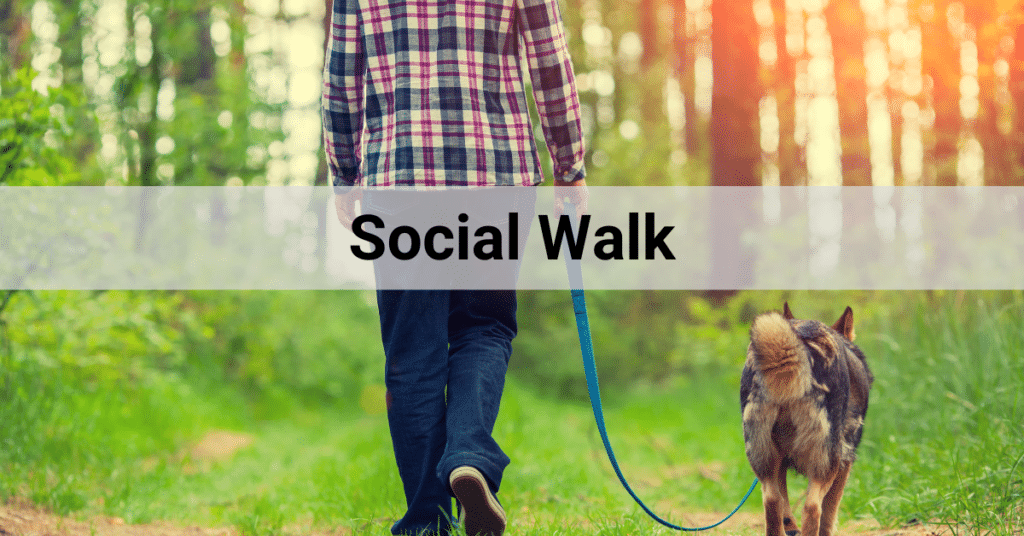 Social Walk Hund