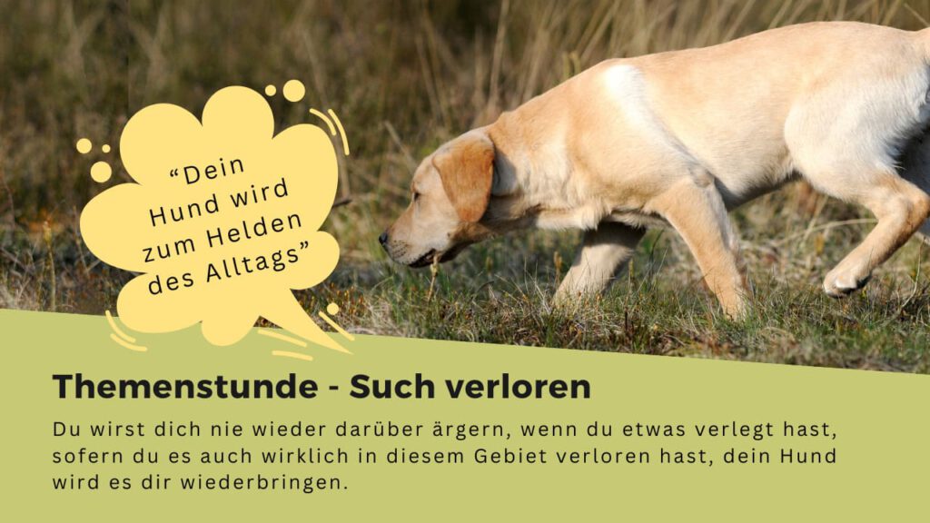 Lerne in dieser Themenstunde, wie dein Hund verlorenes für dich findet.