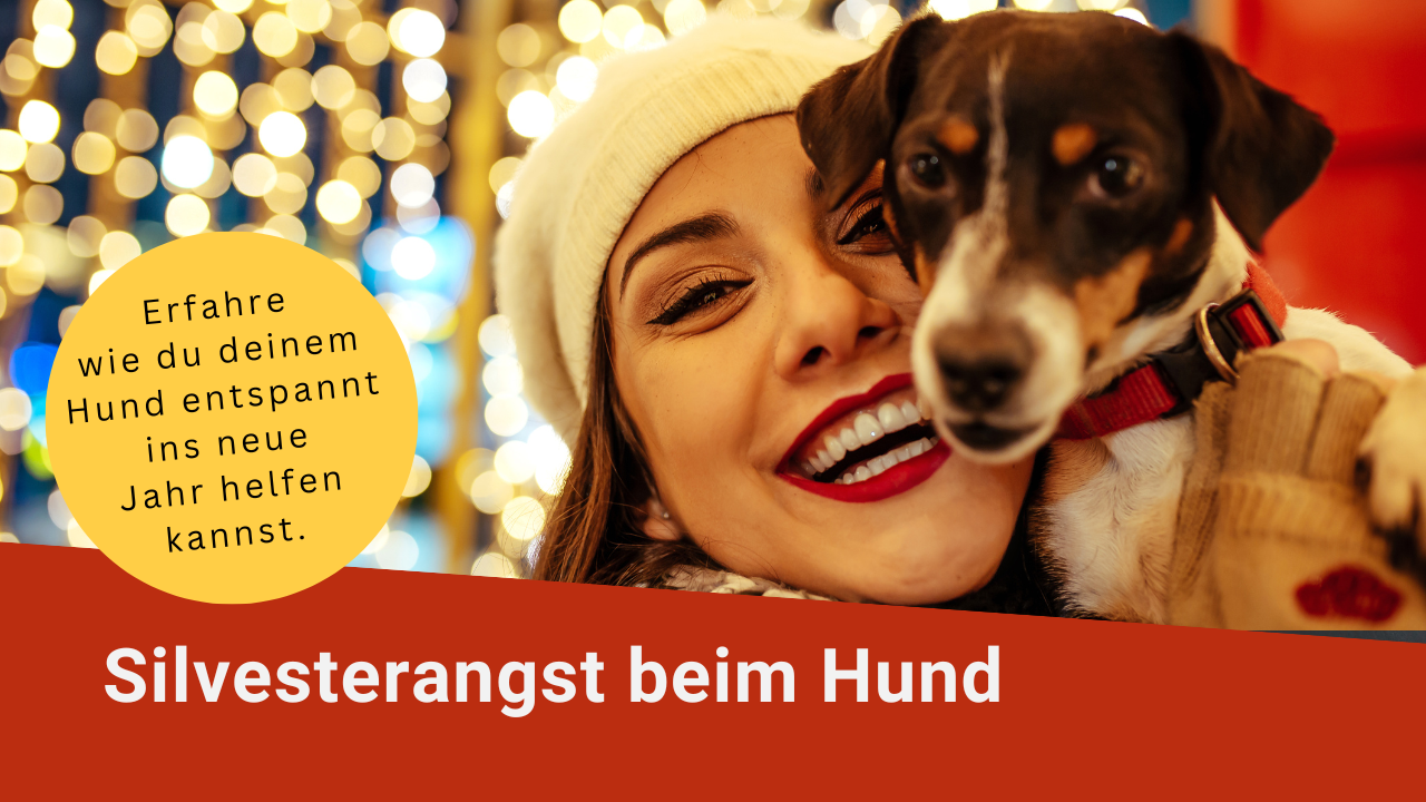 Silvester Frau mit Hund auf dem arm