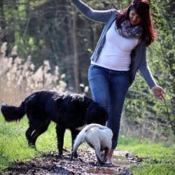 Dogwalker Kulmbach